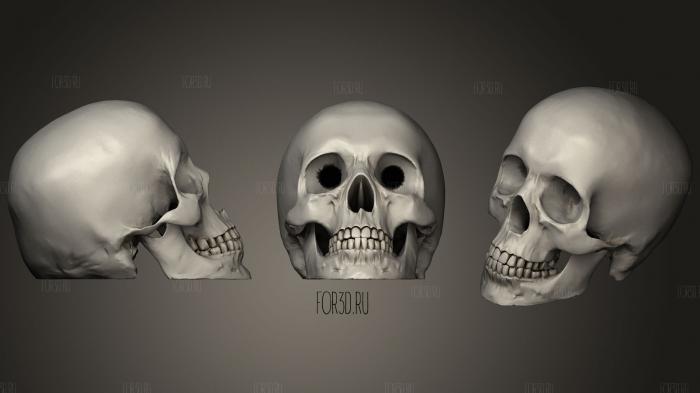 Hollow Ish Skull 3d stl модель для ЧПУ
